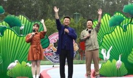 最新军需爆料新闻视频播放,军需爆料视频深度解析